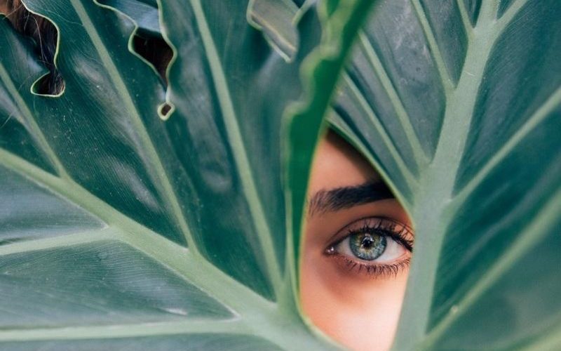 green beauty2